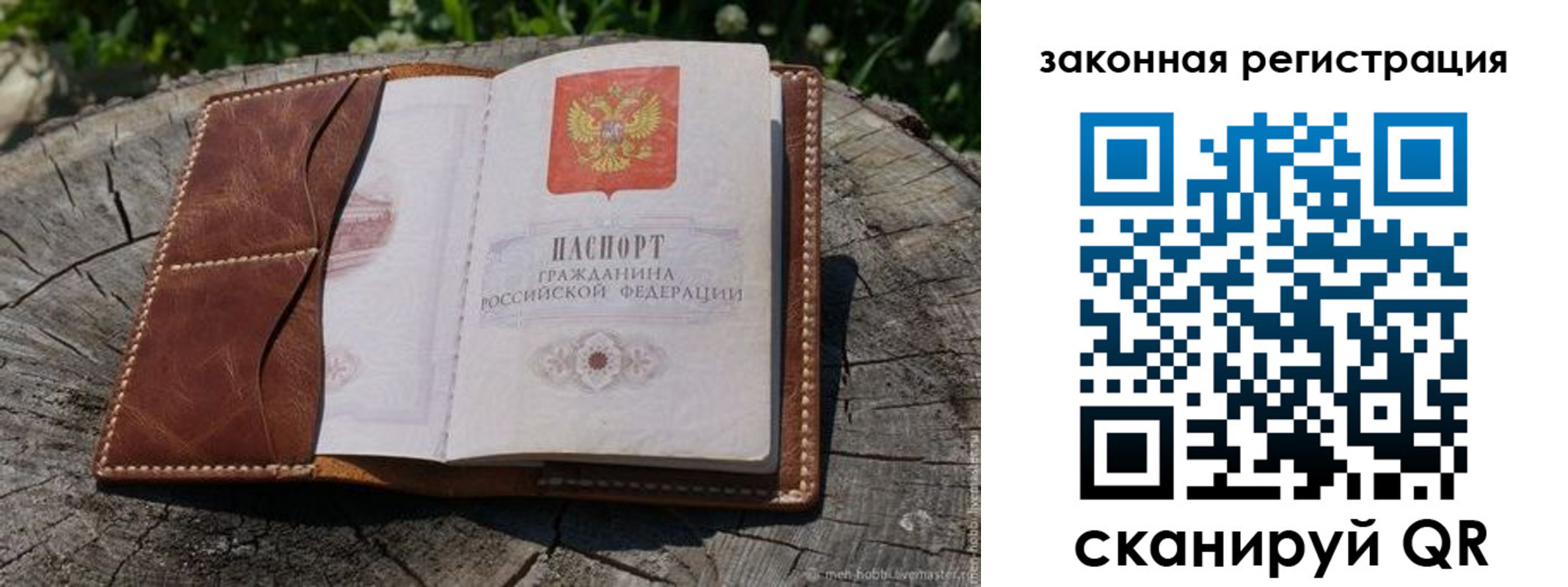 прописка в Димитровграде
